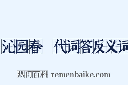 沁园春·代词答反义词是什么意思的图片